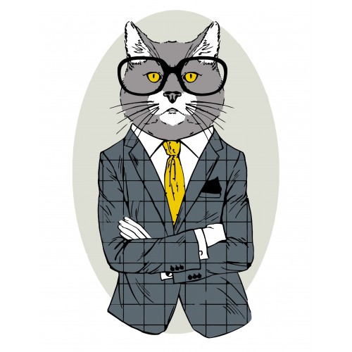 „Fashion Cat“, набір-стандарт, картина за номерами, 35х45см, ROSA START