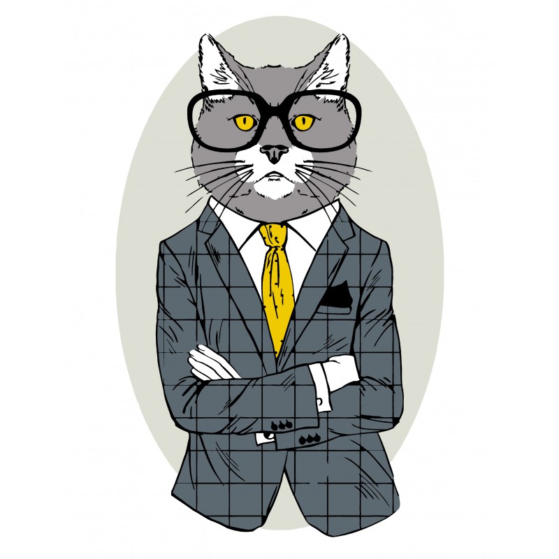 „Fashion Cat“, набор-стандарт, картина по номерам, 35х45см, ROSA START
