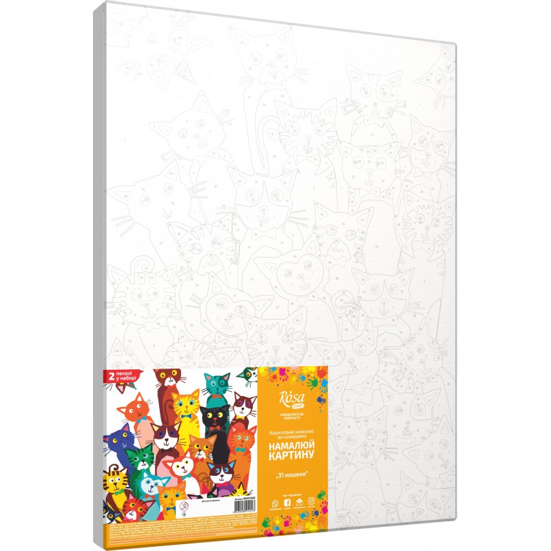 Standard Kit, painting by numbers, „ Fashion Cat“, 35х45cm, ROSA START