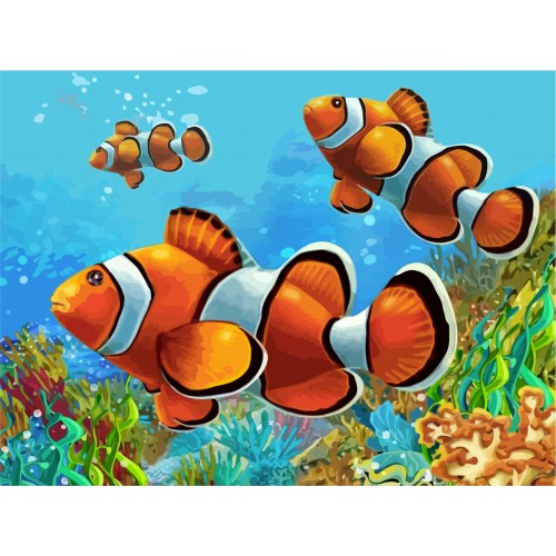 „Coral Fish“, Canvas Panel with outline,  30х40, cotton, acrylic, ROSA START