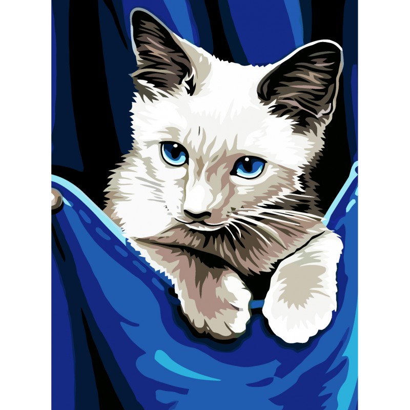 „Kitten“, Canvas Panel with outline,  30х40, cotton, acrylic, ROSA START